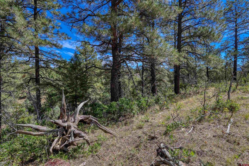 128 S Feather Court Pagosa Springs CO 81147