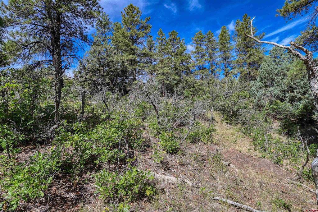 128 S Feather Court Pagosa Springs CO 81147