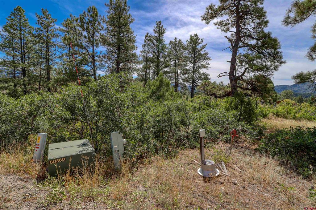128 S Feather Court Pagosa Springs CO 81147