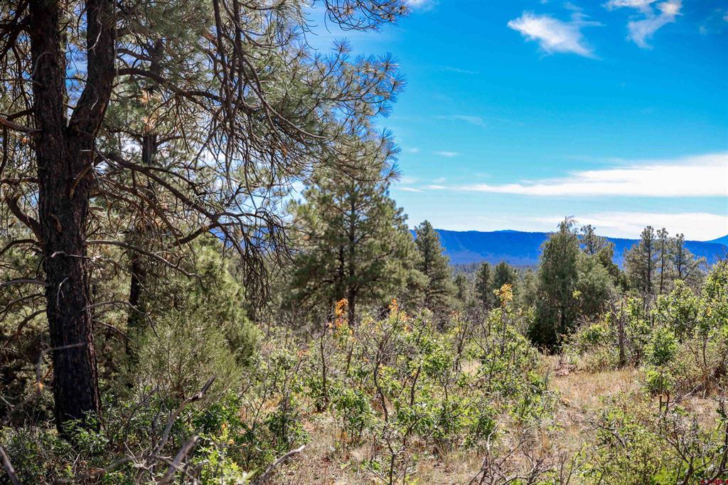 128 S Feather Court Pagosa Springs CO 81147