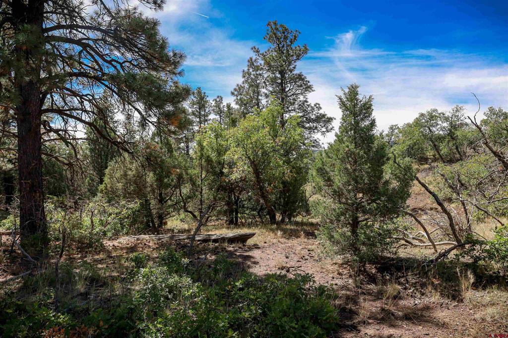 128 S Feather Court Pagosa Springs CO 81147