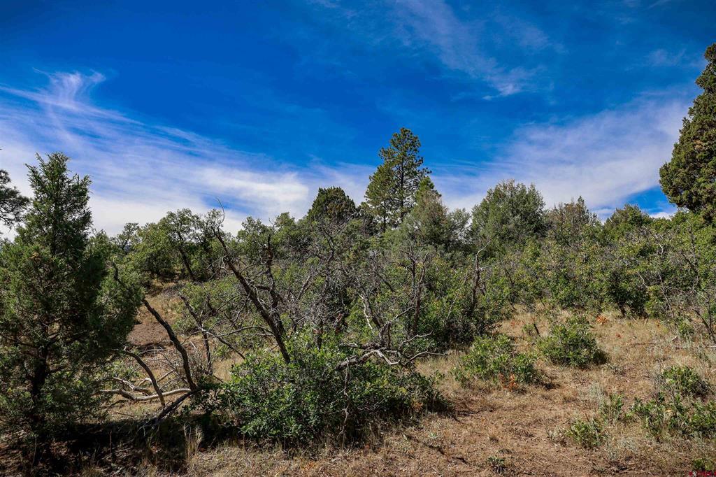 128 S Feather Court Pagosa Springs CO 81147