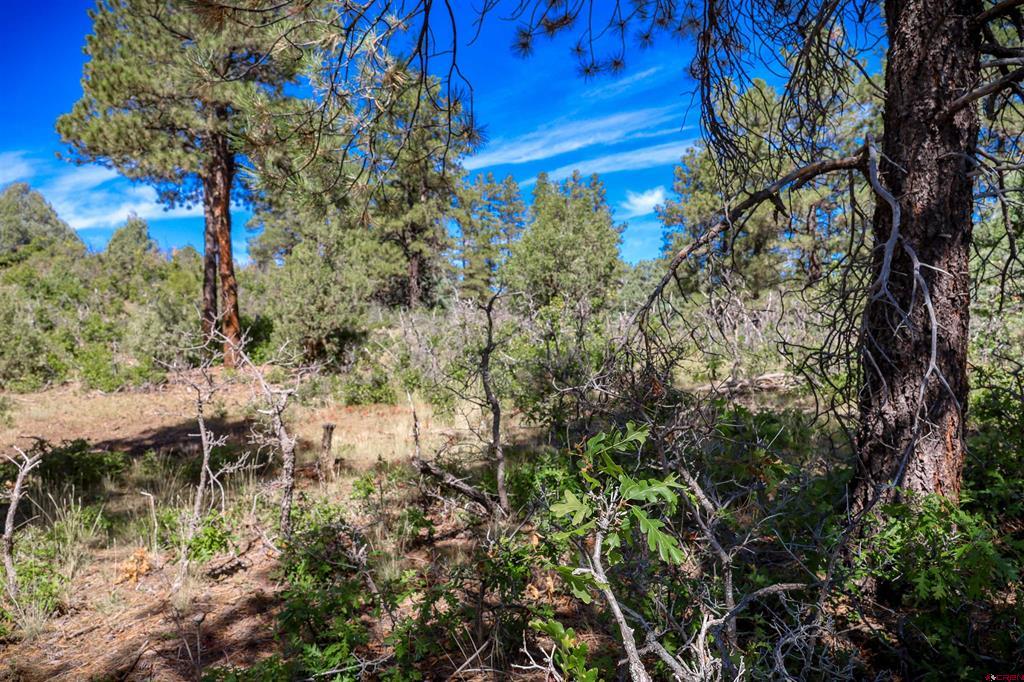 128 S Feather Court Pagosa Springs CO 81147