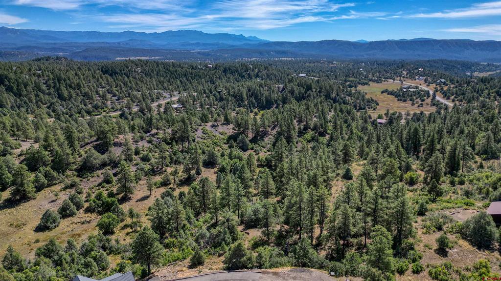 128 S Feather Court Pagosa Springs CO 81147