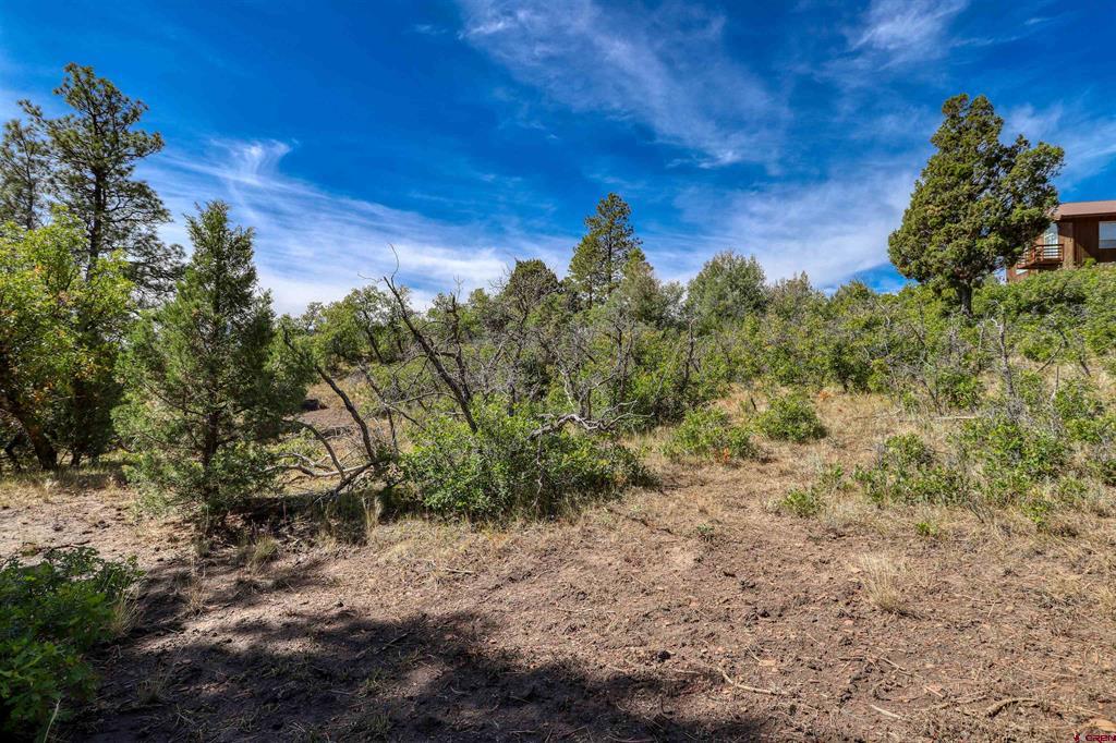 128 S Feather Court Pagosa Springs CO 81147