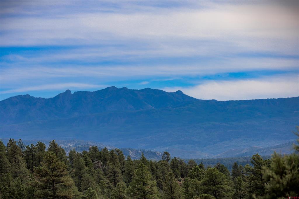 128 S Feather Court Pagosa Springs CO 81147