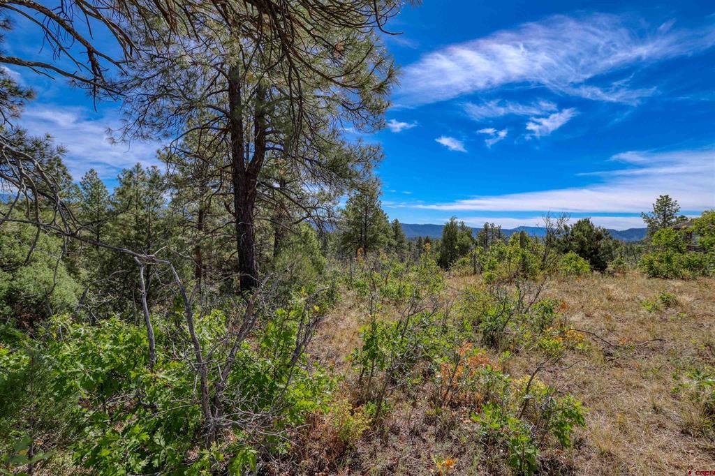 128 S Feather Court Pagosa Springs CO 81147