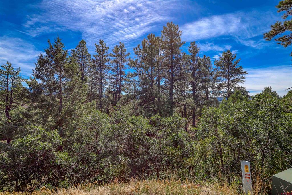 128 S Feather Court Pagosa Springs CO 81147