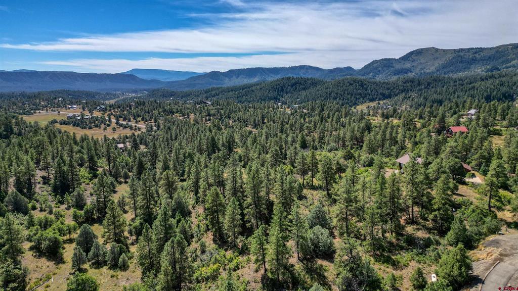 128 S Feather Court Pagosa Springs CO 81147