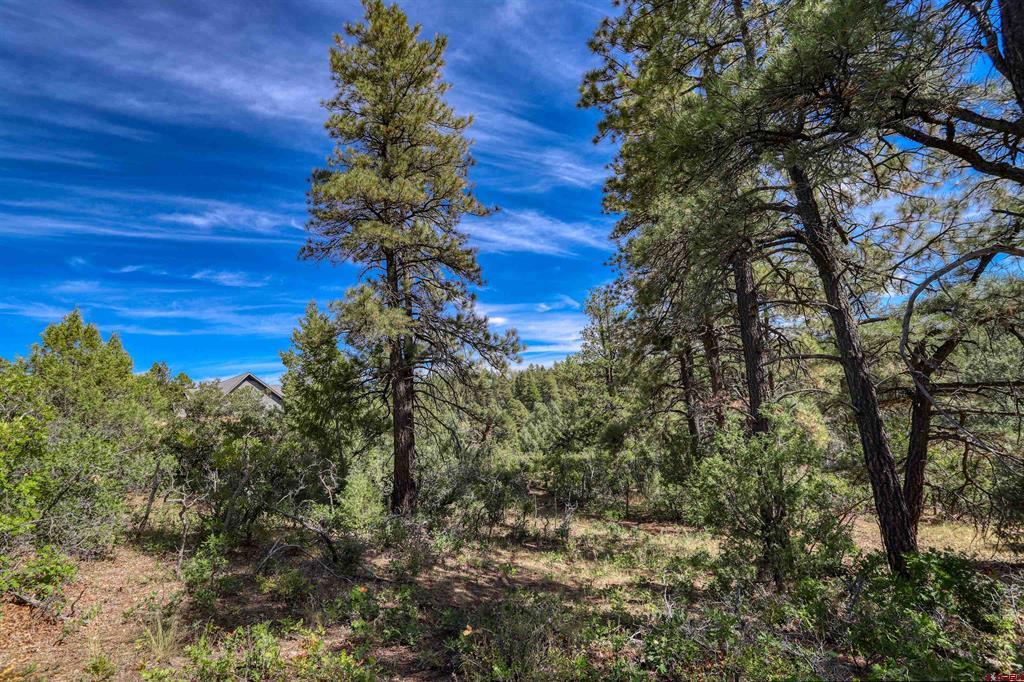 128 S Feather Court Pagosa Springs CO 81147