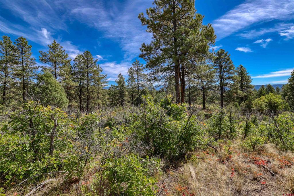 128 S Feather Court Pagosa Springs CO 81147