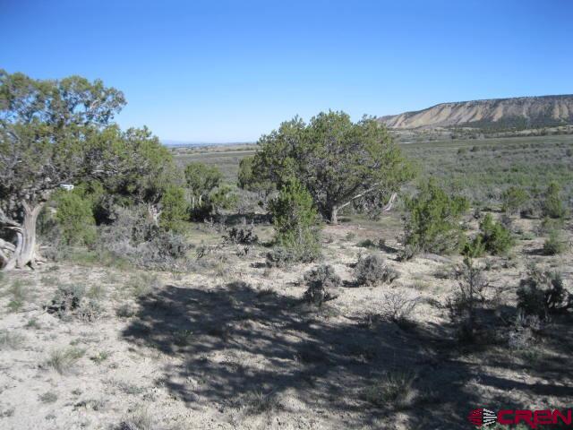 Tbd Lot 2 Buckhorn Road Montrose CO 81403