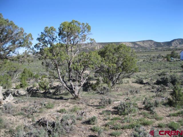 Tbd Lot 2 Buckhorn Road Montrose CO 81403