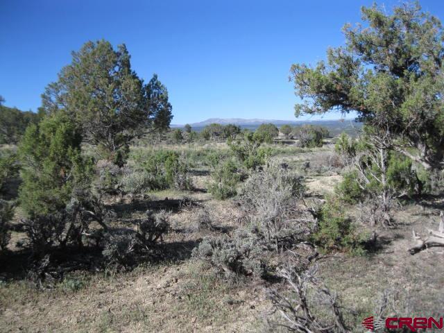 Tbd Lot 2 Buckhorn Road Montrose CO 81403