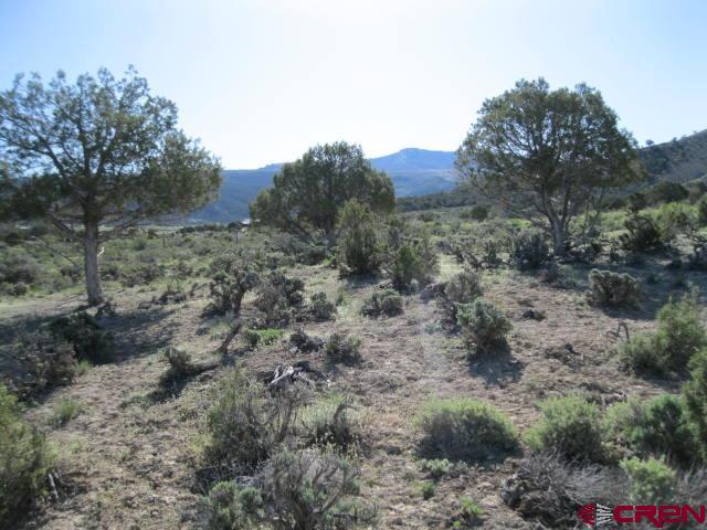 Tbd Lot 2 Buckhorn Road Montrose CO 81403