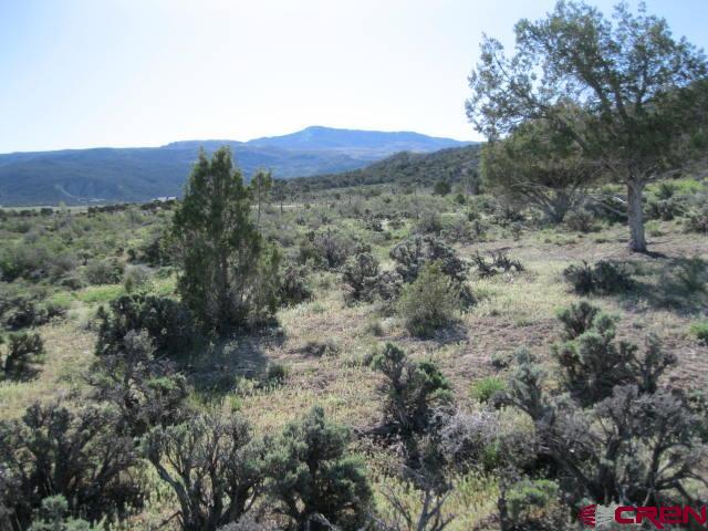 Tbd Lot 2 Buckhorn Road Montrose CO 81403