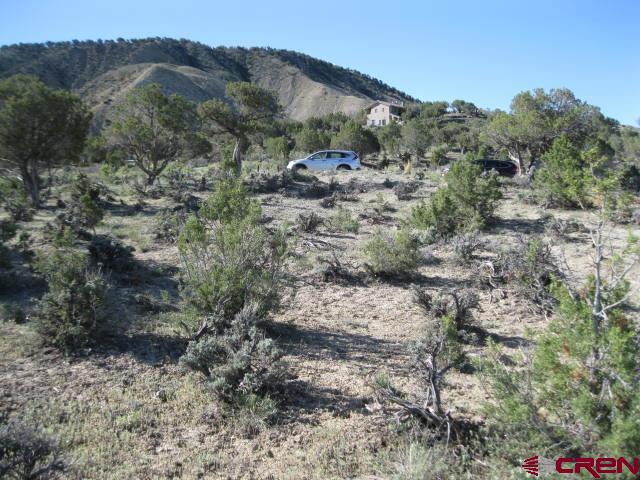 Tbd Lot 2 Buckhorn Road Montrose CO 81403