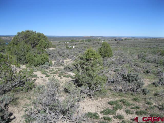 Tbd Lot 2 Buckhorn Road Montrose CO 81403