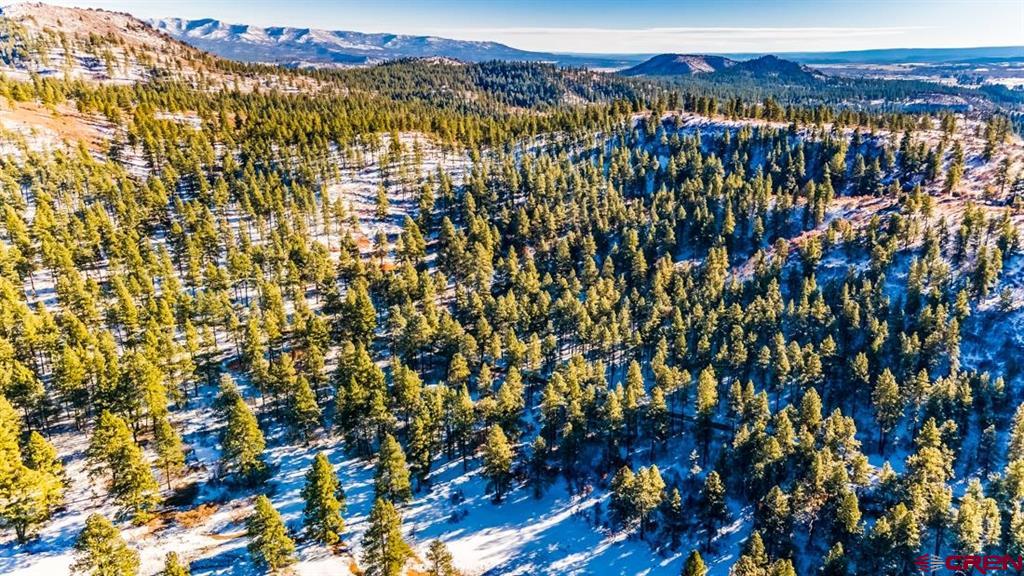 Tbd Lot 13 Beaver Creek Ranch Drive Bayfield CO 81122