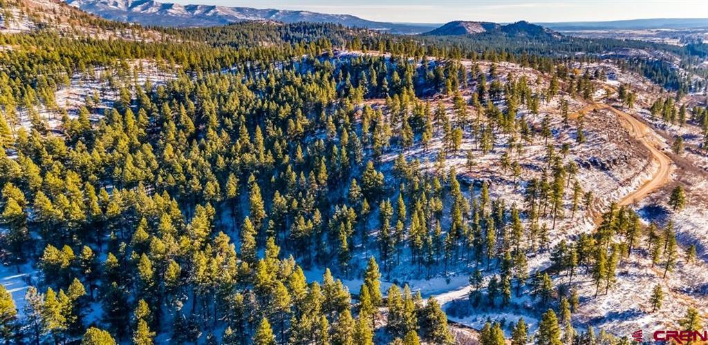 Tbd Lot 13 Beaver Creek Ranch Drive Bayfield CO 81122