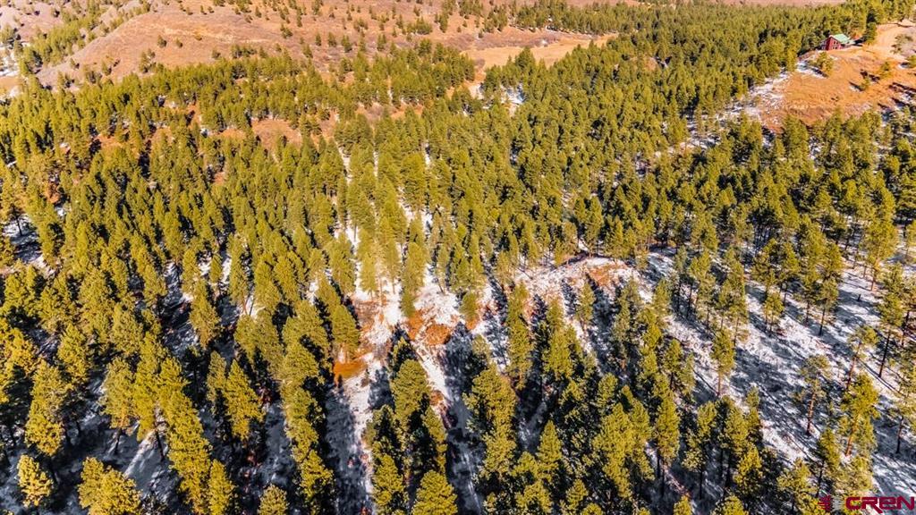 Tbd Lot 13 Beaver Creek Ranch Drive Bayfield CO 81122