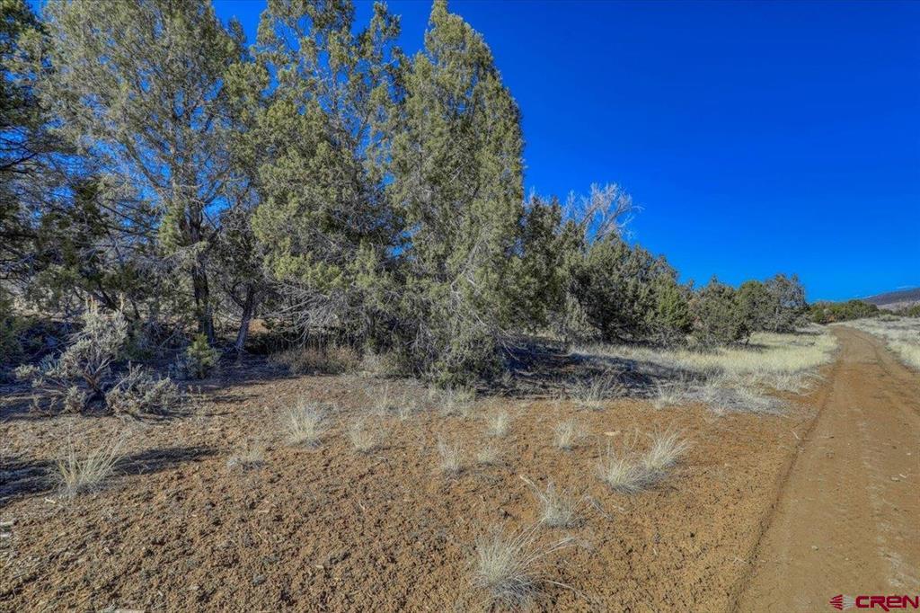 75 Piedra Parkway Arboles CO 81121