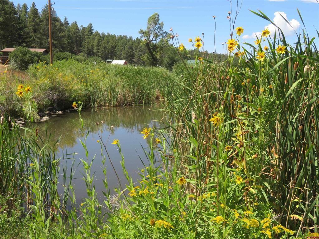 397 & 417 River Run Drive Pagosa Springs CO 81147