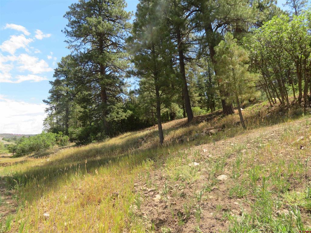 397 & 417 River Run Drive Pagosa Springs CO 81147