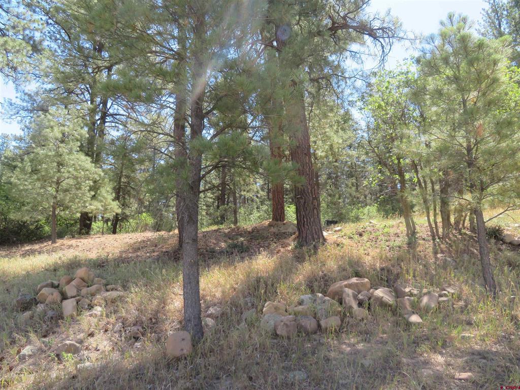 397 & 417 River Run Drive Pagosa Springs CO 81147