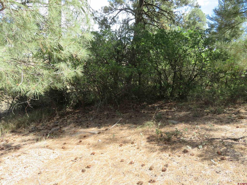 397 & 417 River Run Drive Pagosa Springs CO 81147