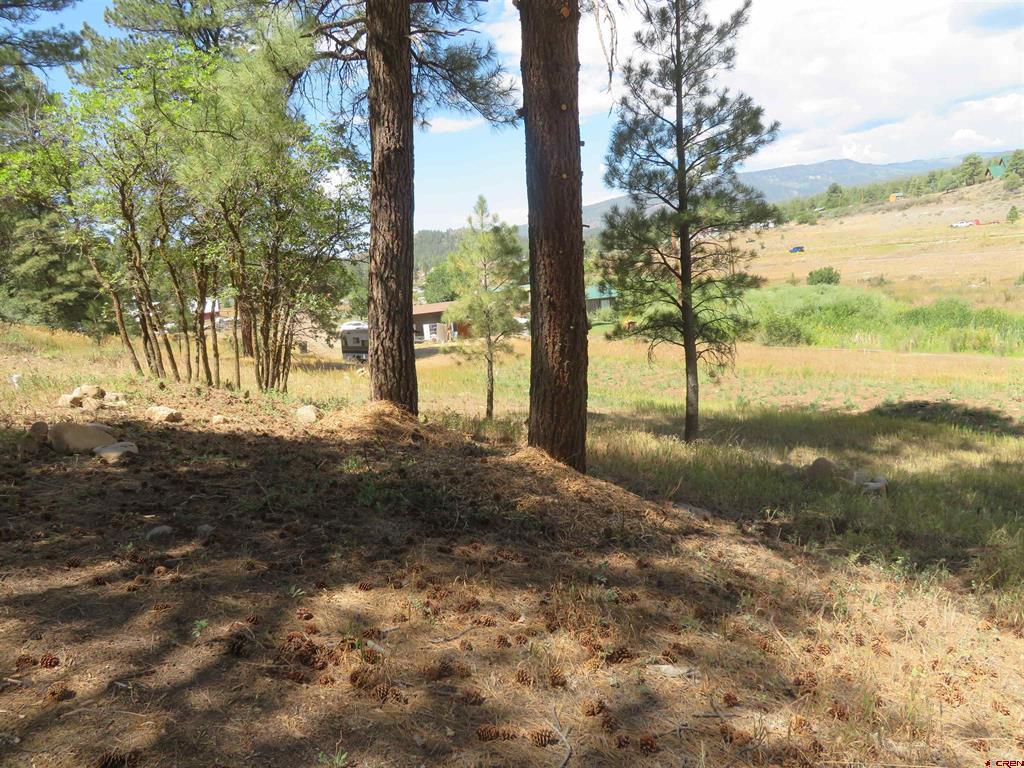 397 & 417 River Run Drive Pagosa Springs CO 81147