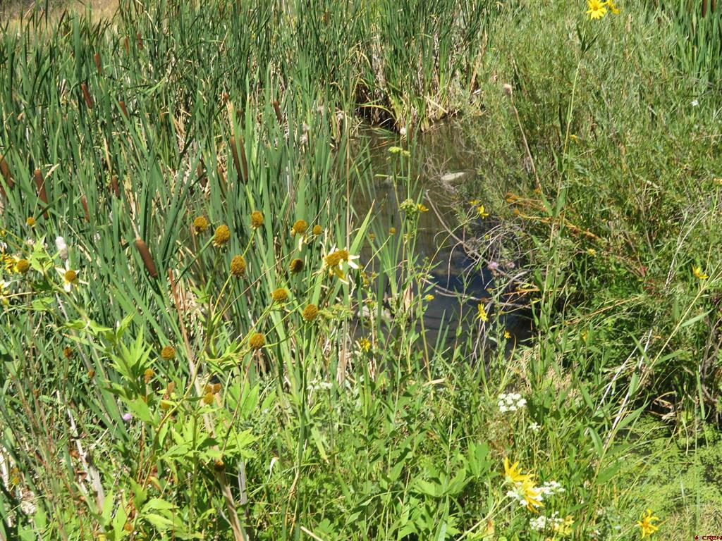 397 & 417 River Run Drive Pagosa Springs CO 81147