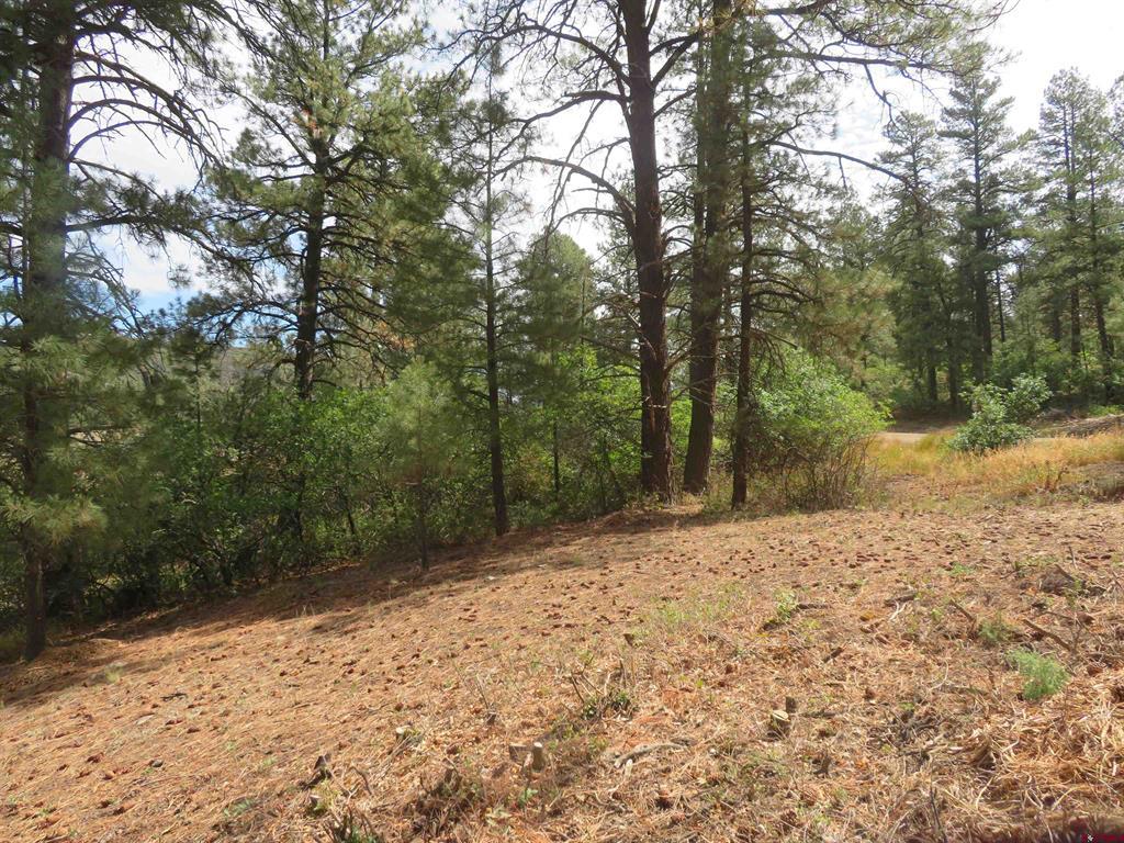 397 & 417 River Run Drive Pagosa Springs CO 81147