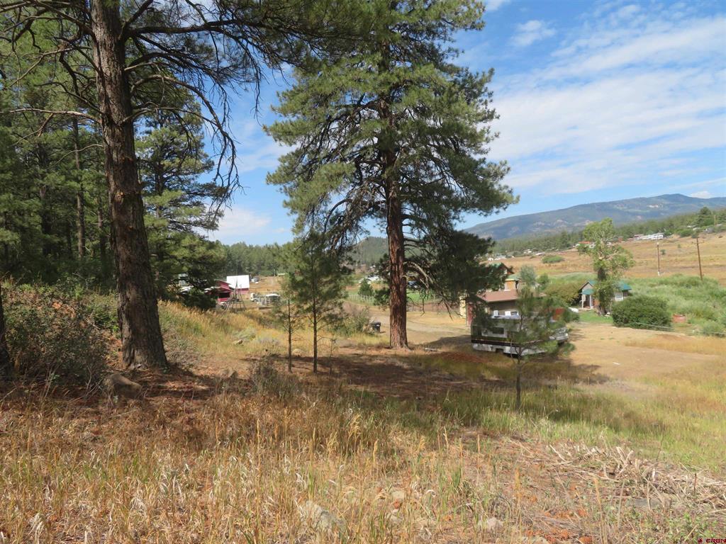 397 & 417 River Run Drive Pagosa Springs CO 81147