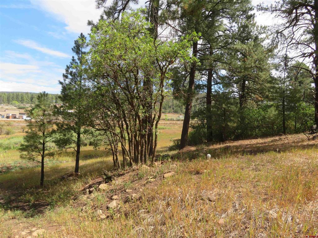 397 & 417 River Run Drive Pagosa Springs CO 81147