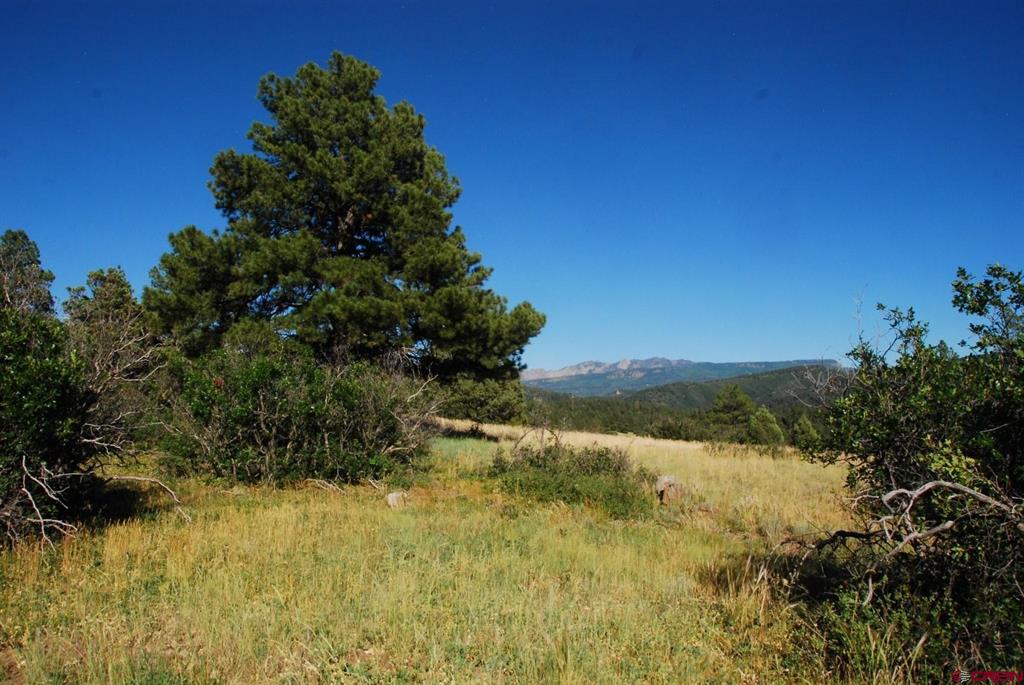 Pagosa Springs CO, X Us Hwy 84 #114