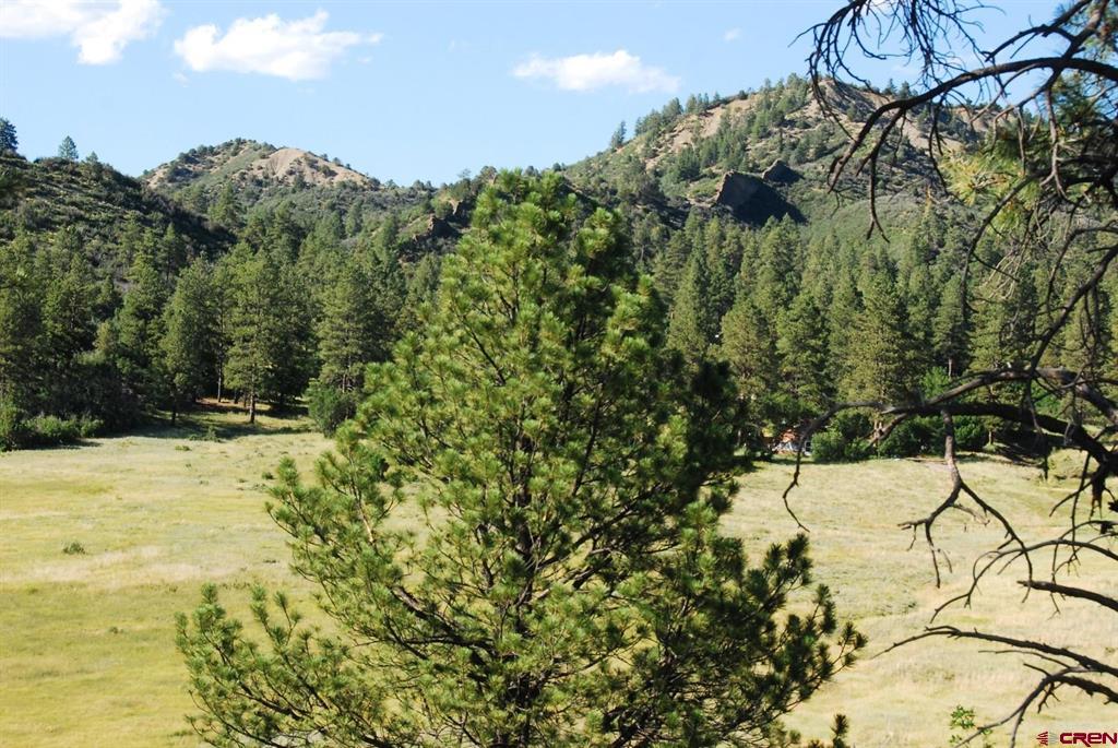 X Us Hwy 84 #114 Pagosa Springs CO 81147