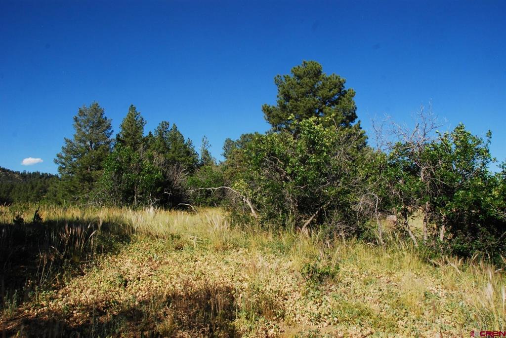 X Us Hwy 84 #114 Pagosa Springs CO 81147