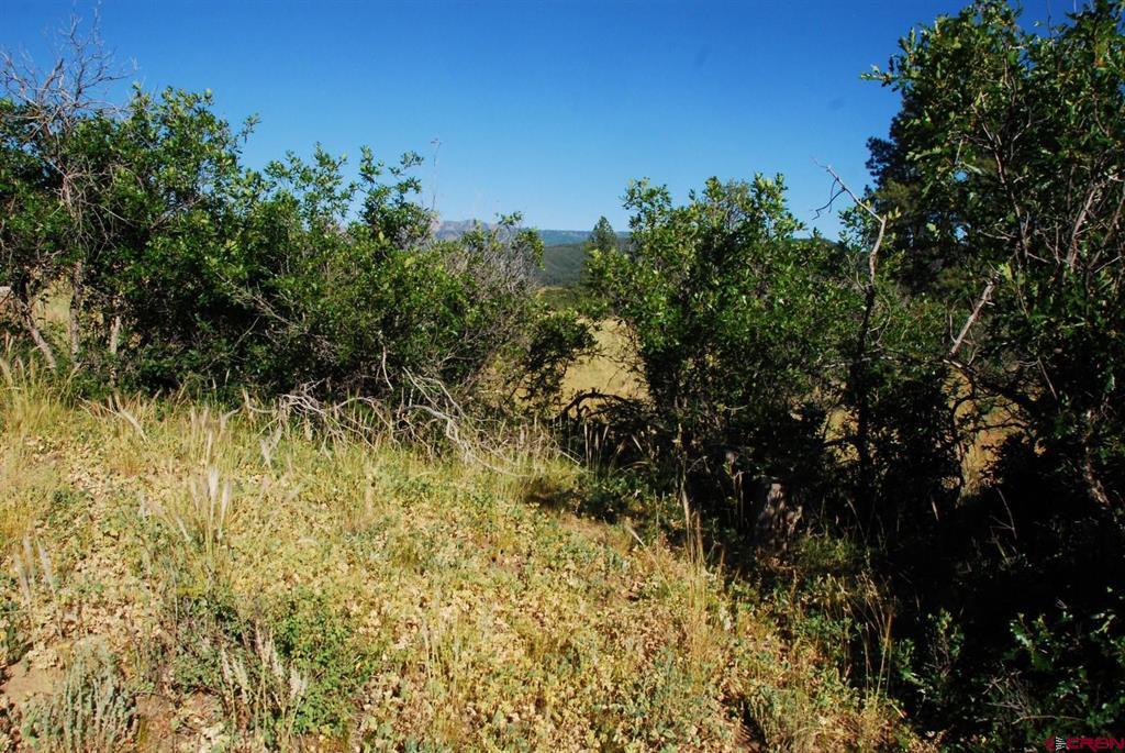 X Us Hwy 84 #114 Pagosa Springs CO 81147