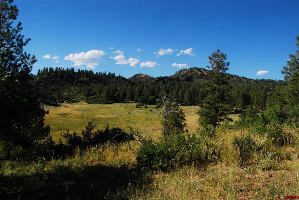 X Us Hwy 84 #114 Pagosa Springs CO 81147