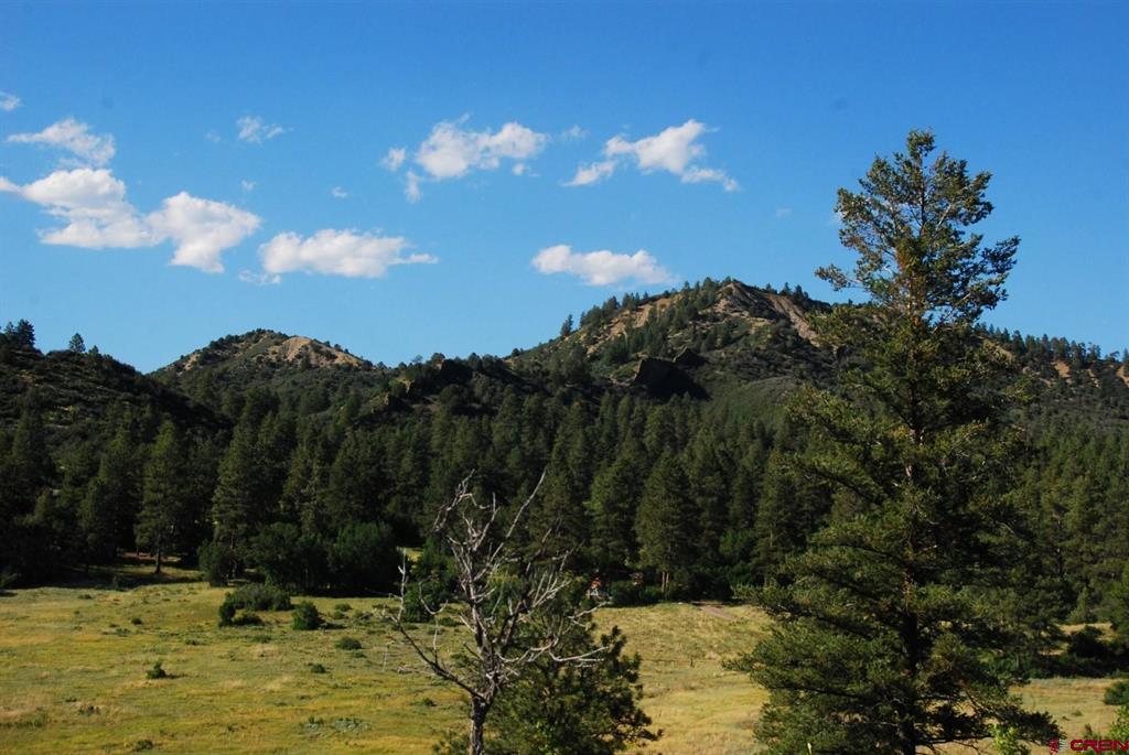 X Us Hwy 84 #114 Pagosa Springs CO 81147