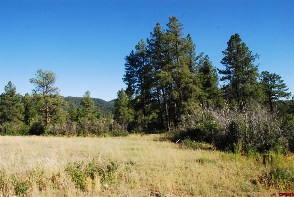 X Us Hwy 84 #114 Pagosa Springs CO 81147