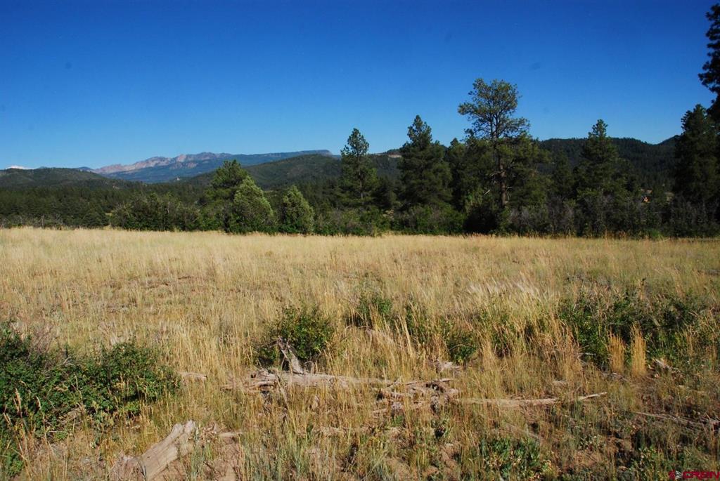 X Us Hwy 84 #114 Pagosa Springs CO 81147