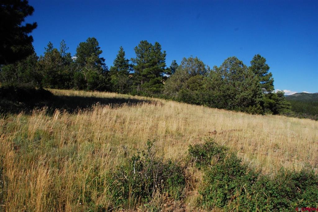 X Us Hwy 84 #114 Pagosa Springs CO 81147