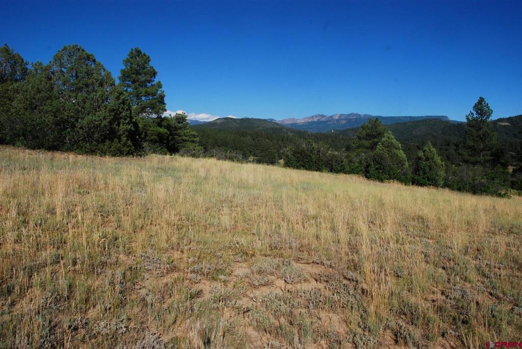 X Us Hwy 84 #114 Pagosa Springs CO 81147
