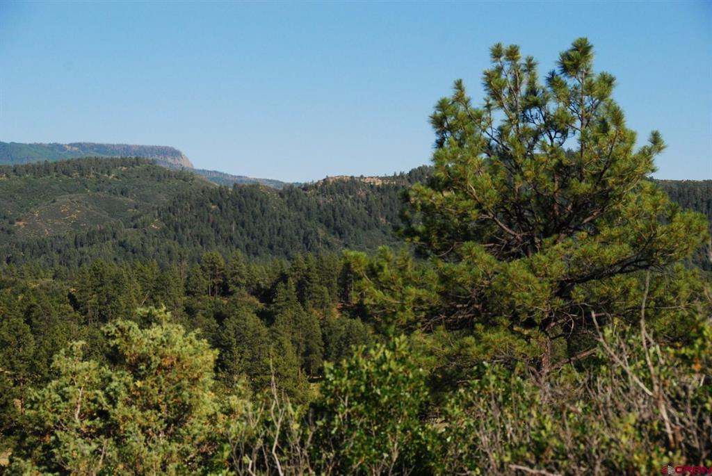 X Us Hwy 84 #114 Pagosa Springs CO 81147