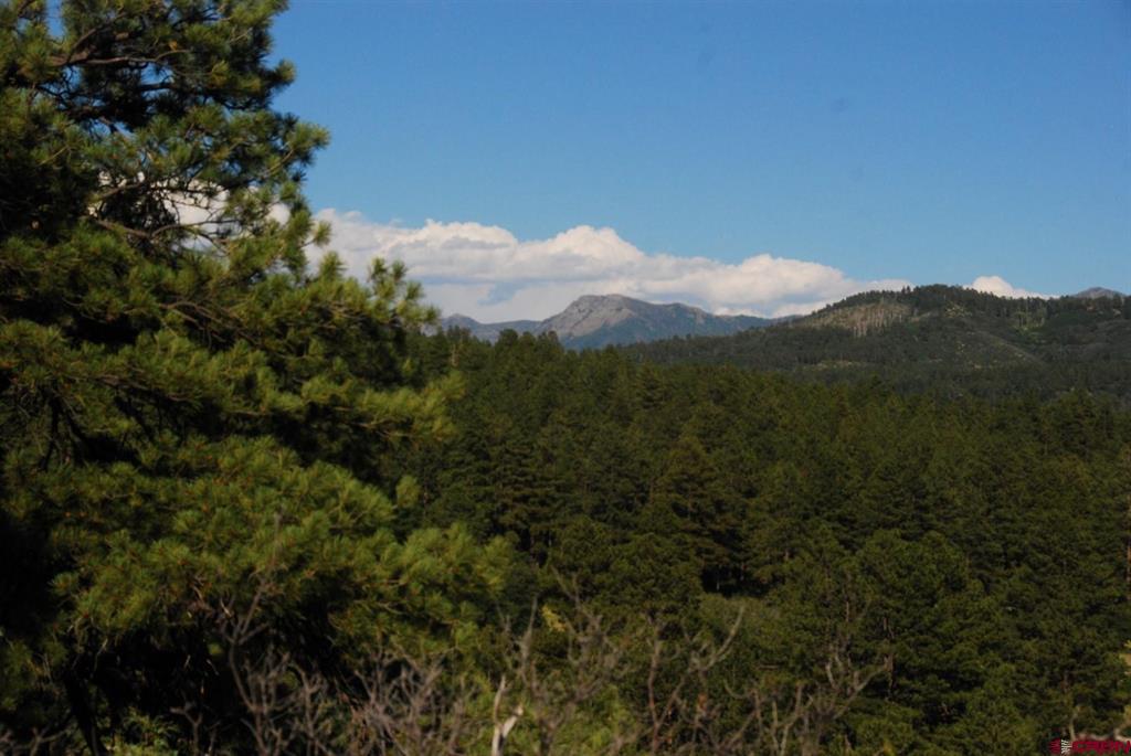 X Us Hwy 84 #114 Pagosa Springs CO 81147