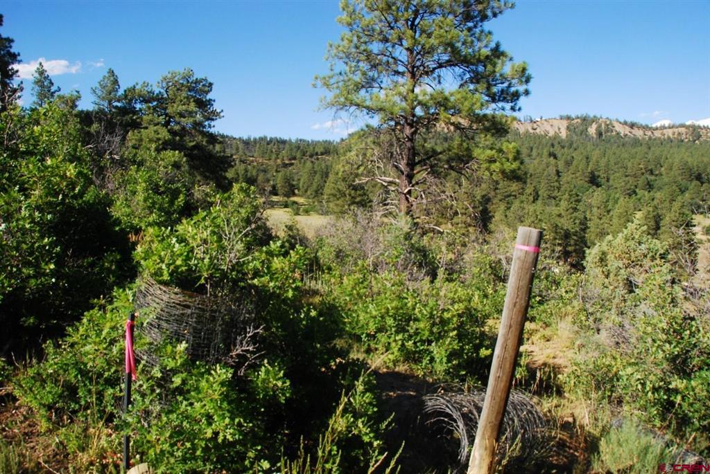 X Us Hwy 84 #114 Pagosa Springs CO 81147