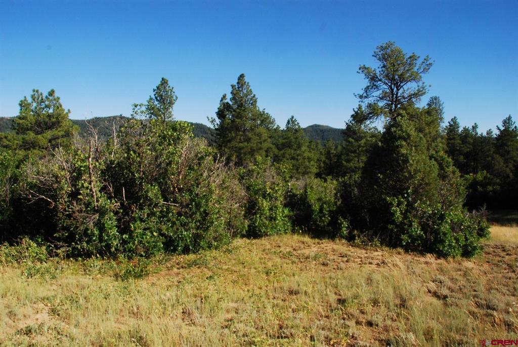 X Us Hwy 84 #114 Pagosa Springs CO 81147