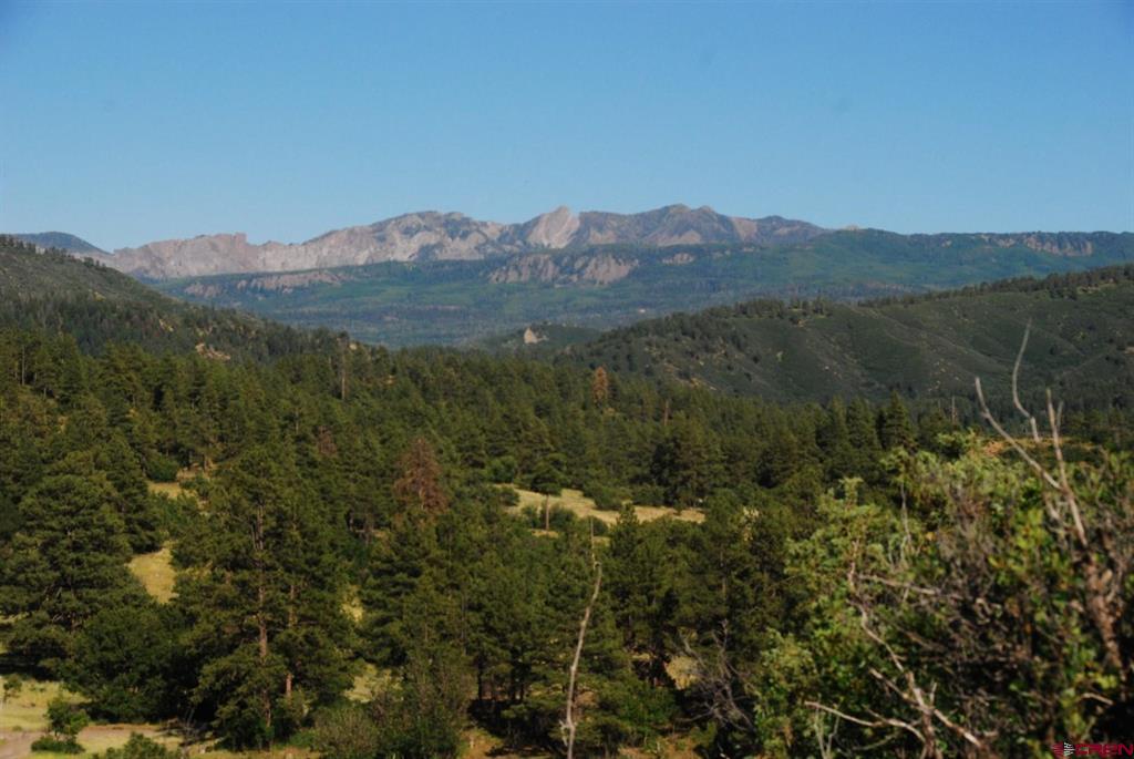 X Us Hwy 84 #114 Pagosa Springs CO 81147
